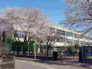 Primary school. Higashiyamato Municipal seventh to elementary school 703m