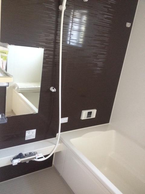 Bathroom. Indoor (10 May 2013) Shooting