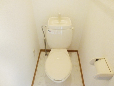 Toilet. Toilet