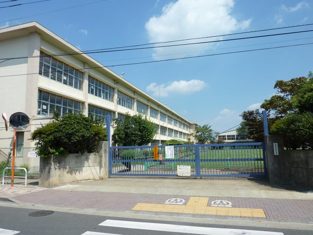 Primary school. Fourth to elementary school 220m