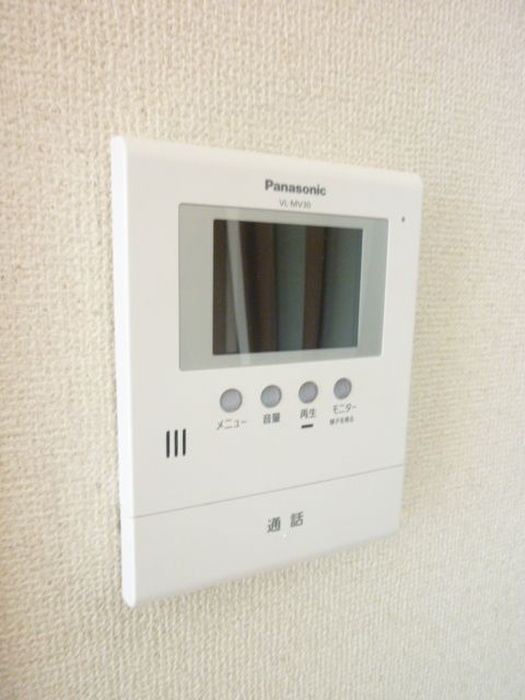 Security. TV monitor interphone