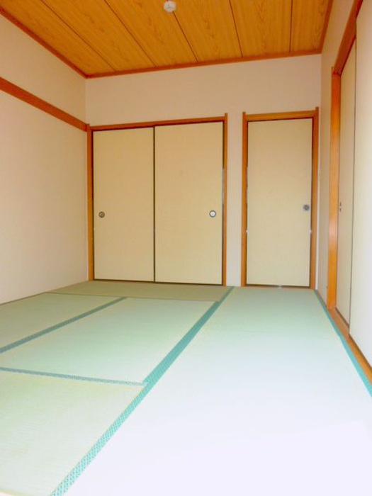 Living and room. Japanese-style room part