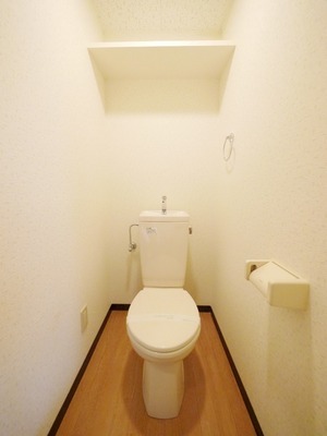 Toilet. Toilet