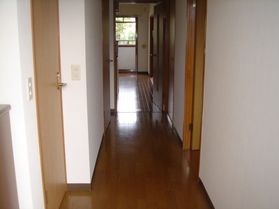 Entrance. Corridor portion from the front door