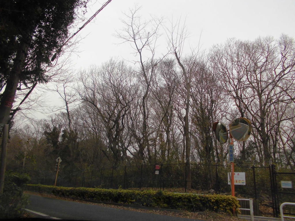 park. Higashiyamato Imokubo 603m to green space (park)