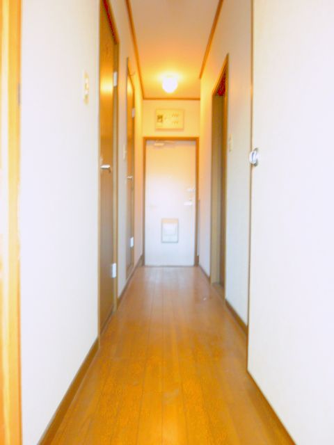 Other room space. Entrance passage