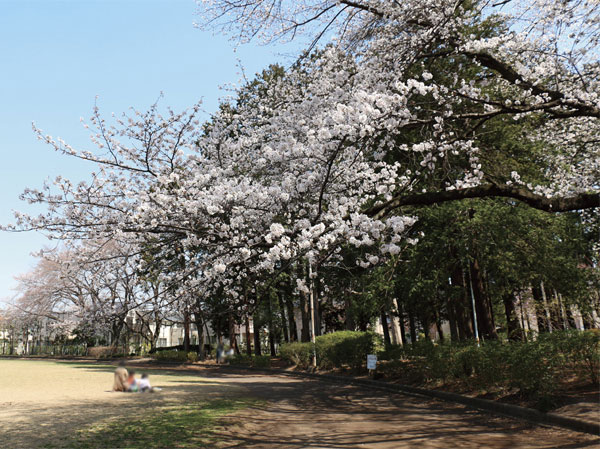 Surrounding environment. Municipal Tamadaira first park (about 320m / 4-minute walk)