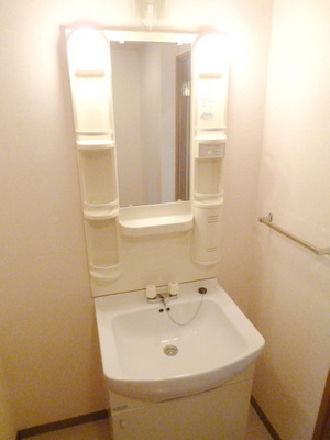 Washroom. Independent wash basin