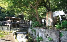 park. Kurokawa clear stream to the park 10m falling fast To rich, clear spring water gushing is, Do not get bored the heart of what you see. Since the forest there is also a walking path, Guests can also enjoy a little nature and trekking. 