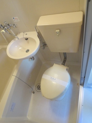 Toilet. Toilet