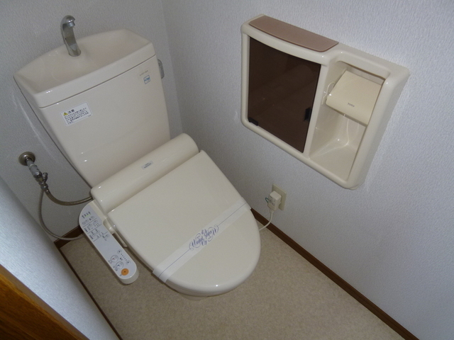 Toilet. Warm water washing toilet seat