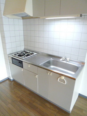 Kitchen. Gas stove Installed