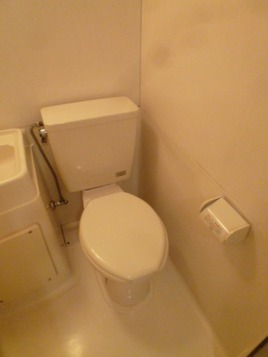 Toilet. Clean toilet