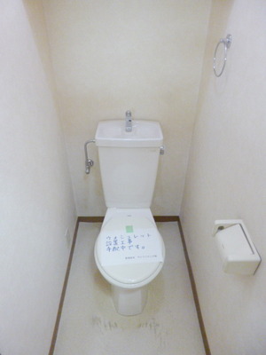 Toilet. Changes to with cleaning function