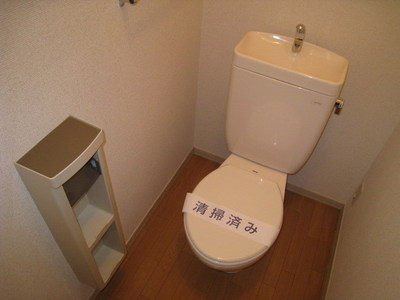 Toilet. Toilet with cleanliness