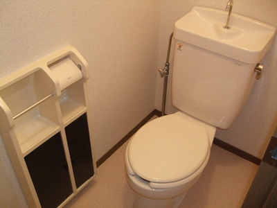 Toilet.  ☆ Your toilet ☆