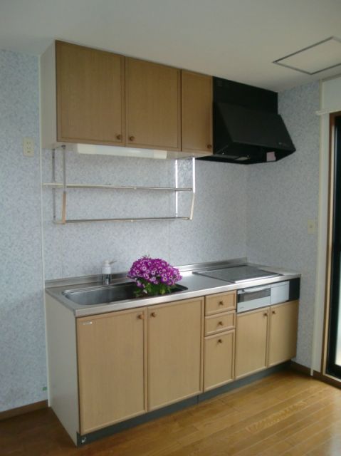 Kitchen. Dishes are convenient two-necked Gasukitchin