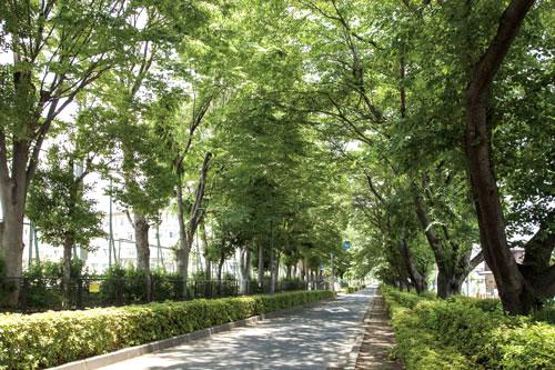 Streets around. 760m to the vicinity of the municipal Hino fourth junior high school