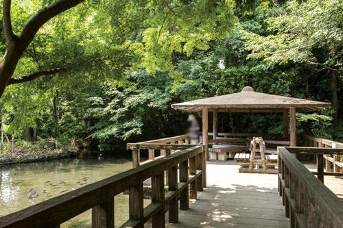 Other. Extending along the Kurokawa "Kurokawa clear stream park" (a 13-minute walk). In a cool wooded area of ​​the shade of a tree, You can feel free to enjoy wading in the cold natural water, Summer is crowded with many children. 