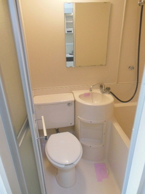 Toilet. It is with a large mirror