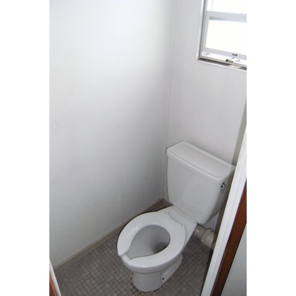 Toilet. Small window with