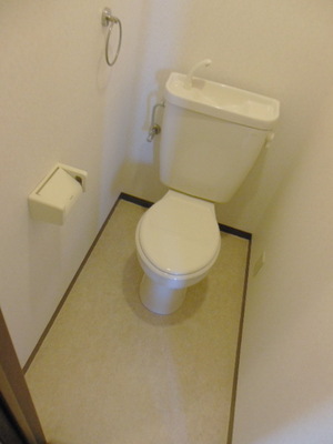 Toilet. Toilet