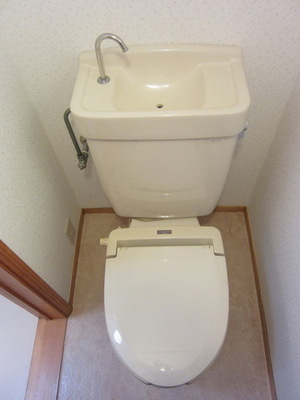 Toilet. Toilet