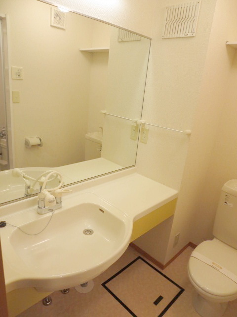 Washroom. Powder room of a large mirror