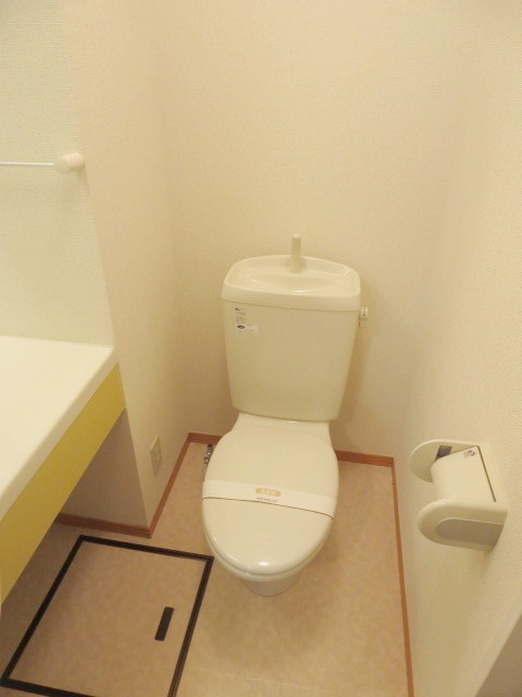 Toilet. Toilet with cleanliness