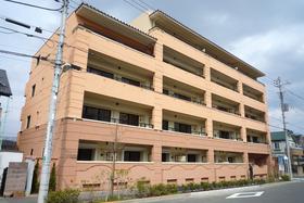 Building appearance