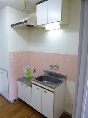 Kitchen. Gas stove installation Allowed