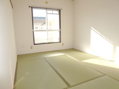 View. Japanese style room