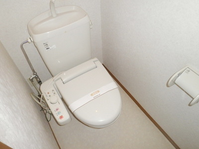 Toilet. Cleaning toilet seat Heating toilet seat