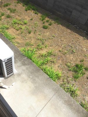 Balcony. terrace