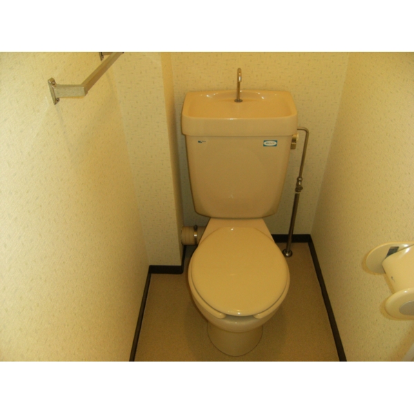 Toilet. Spacious toilet