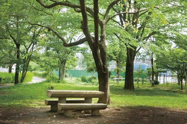 "Nakata park" (a 1-minute walk / About 20m). Across the street, "forest of Nakata" (2-minute walk / About 150m) also spread