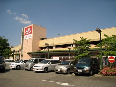 Supermarket. 540m to Super Alps (Super)