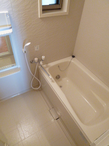 Bath. Spacious bathroom