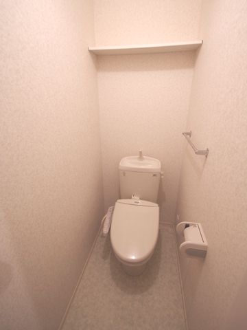 Toilet. Warm water washing toilet seat, Convenient storage because there is a shelf at the top