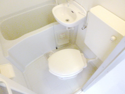 Toilet. Toilet