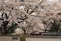 station. 880m until Hirayama Castle Park