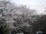 park. 737m to Hirayama green space