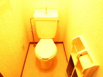 Toilet. Toilet