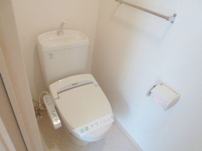 Toilet. Cleaning toilet seat Heating toilet seat