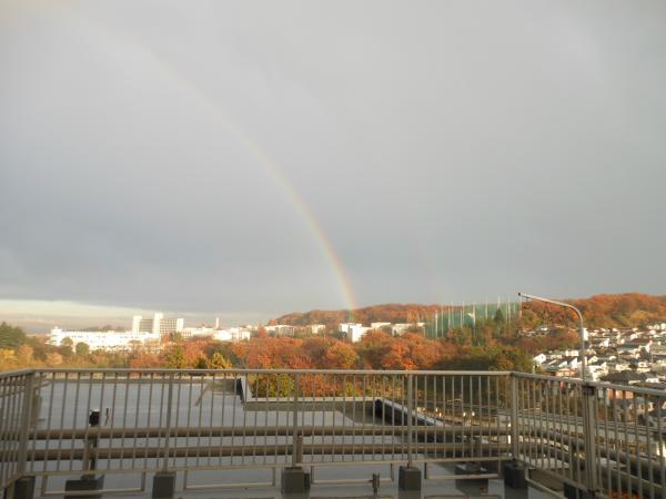 View photos from the dwelling unit