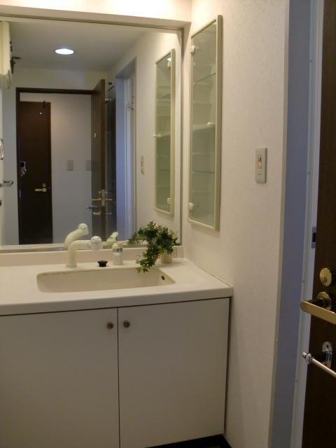 Wash basin, toilet. Indoor (September 2013) Shooting