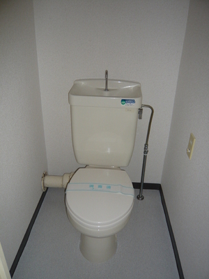 Toilet. Toilet