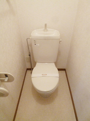 Toilet. Toilet