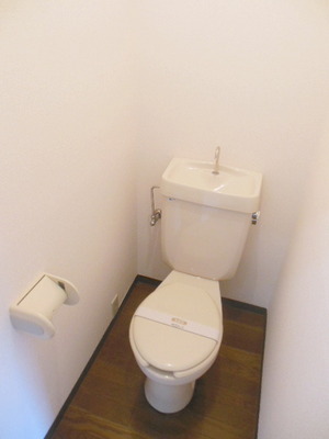 Toilet. Toilet with cleanliness