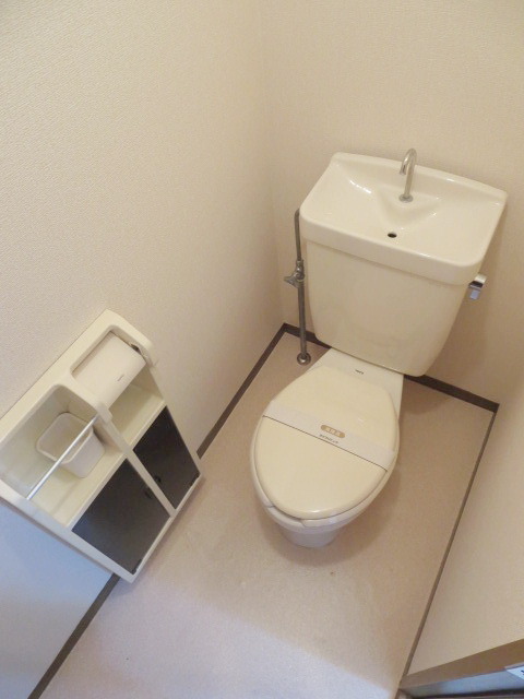 Toilet. Toilet with cleanliness